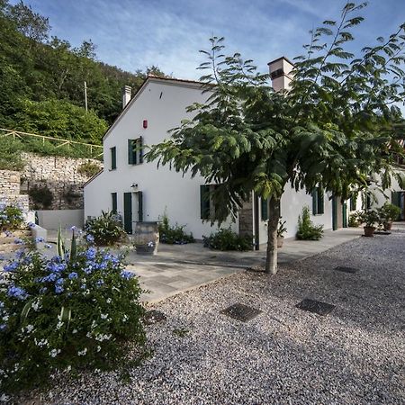 Agriturismo Le Volpi Baone Bagian luar foto