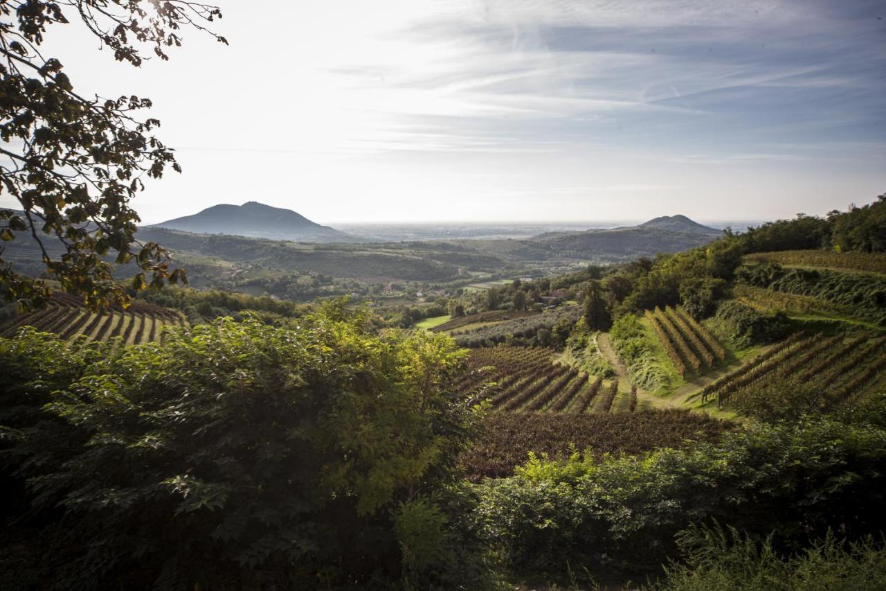 Agriturismo Le Volpi Baone Bagian luar foto